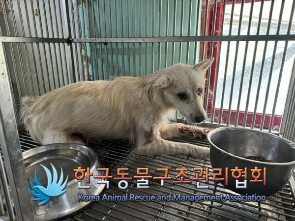 한국동물구조관리협회_441414202400645